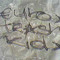 Euro Trash Kid