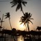anjuna65