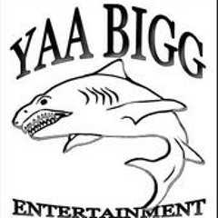 Yaa Bigg Ent