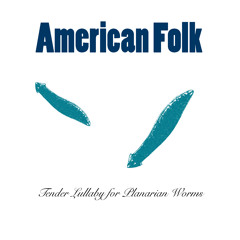 American Folk at Parkside Lounge, 8/24/12 - full set