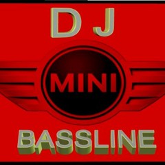 DJ MINI