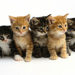 practiceforsomething