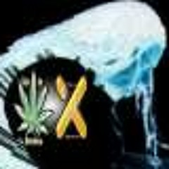 Mr Flava aka Dj XPosure