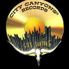 City Canyons LLC