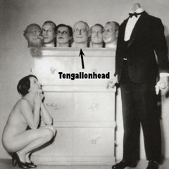 Tengallonhead