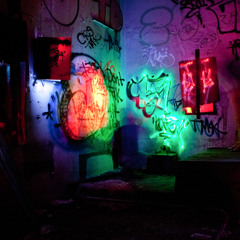 dno8