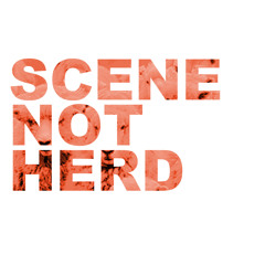 scene_not_herd