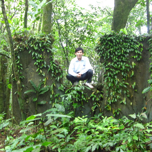 Lien khuc gian hon va dem cuoi