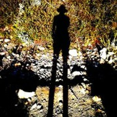 Heart Cooks Brain (Modest Mouse cover)