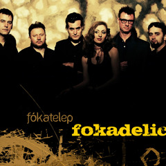 Fokatelep