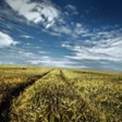 wheatharvestrecordings