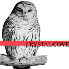 crystalcoveband