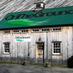 onthegroundperformances