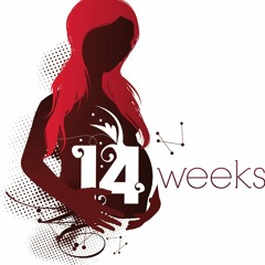 14Weeks