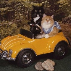 TheFreeMarketEnsemble