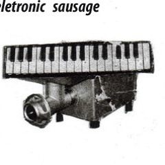 electronic sausage