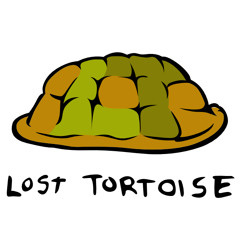 losttortoise