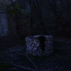 Insect (Warsaw Mechanism)