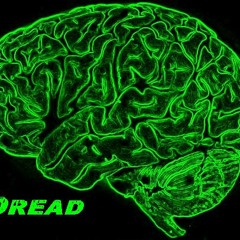 Loose Connection Vs Brain Dread - Jerbs