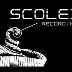 Scolex Recordings