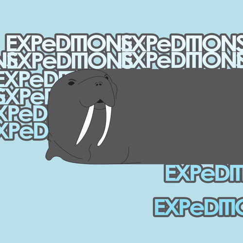 SoundCloud profile picture for @expeditions