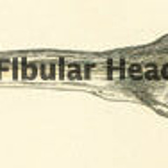 Fibular Head