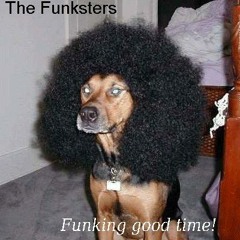 The Funksters