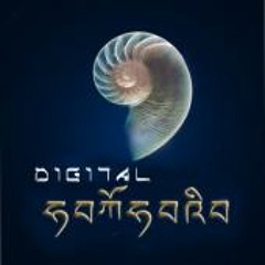 Digital Samsara