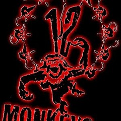 Army of the 12 Monkeys