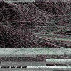 sebastien-vanderkwast