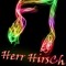 HerrHirsch
