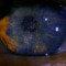 Deckard_73