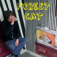 FOREST CAT