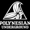 PolyUnderground