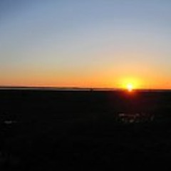 The Ruxpin - Sclera (Electric Demo) [2006]