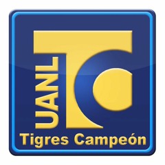 TigresCampeon