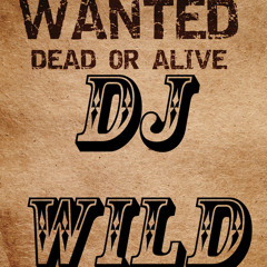 Dj Wild