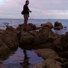 andygr1er
