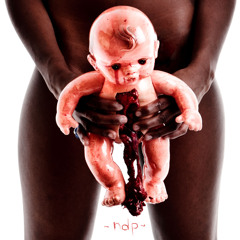 Nightly Dead Panorama