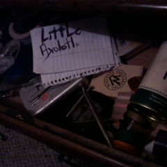 Little Axolotl Collective