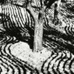 Marisa Anderson - In the Valley of the Sun