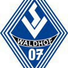 svwaldhof07