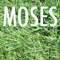 newmoses