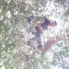 jos-guillermo-villagran