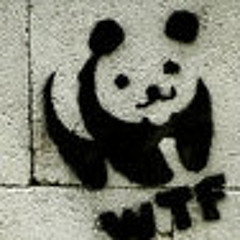 Damir_TheHongKongKid