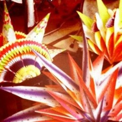 Pioneers Of Transmission