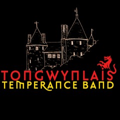 Tongwynlais Band
