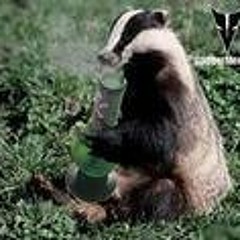 badger-adrian-badrick