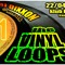 The Vinyl Loops