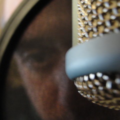Freeman Music II